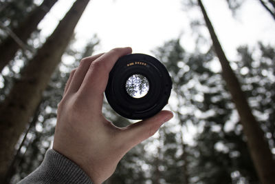 Cropped hand holding lens against trees