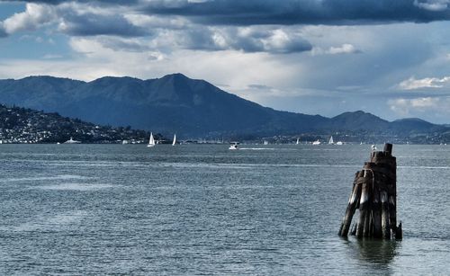 Old wooden posts in lake with mountains in background