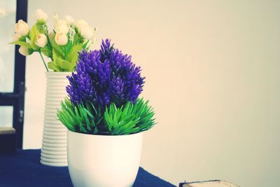 Close-up of potted plant