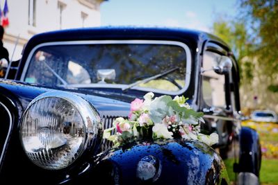 Close-up of flowering plants seen through windshield