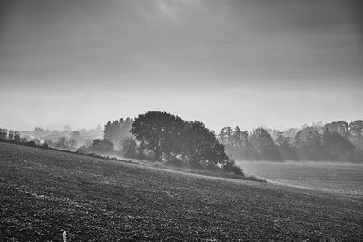 Scenic view of field against sky