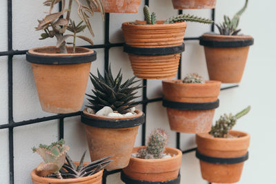 Close-up of potted plants on table