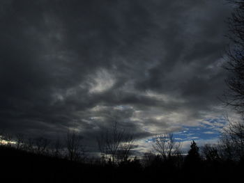 Low angle view of silhouette trees against sky