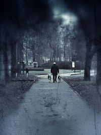 Full length of woman walking on road