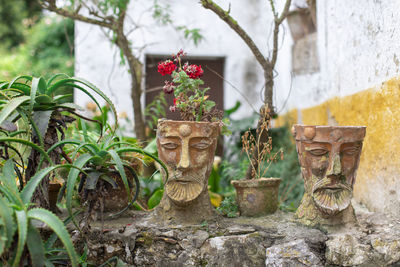 Statue of buddha against plants