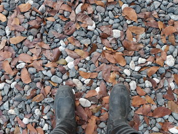 Low section of person standing on fallen leaves over rocks