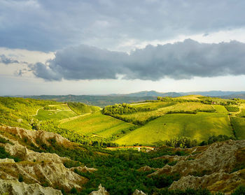 Scenic view of agricultural field against sky