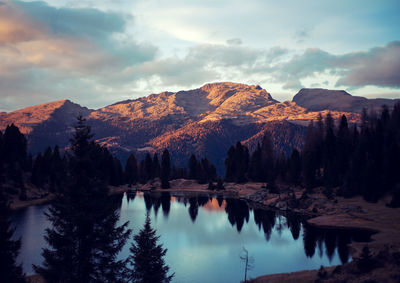 Scenic view of lake by trees against sky