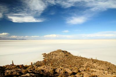 Scenic view of cactus growing at salar de uyuni against sky