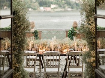 Potted plant on table