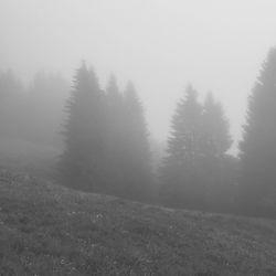 Scenic view of landscape in foggy weather