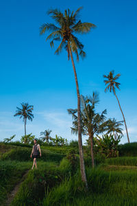 Man walking by palm trees and grass against sky