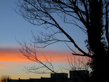 Low angle view of silhouette tree against sky during sunset