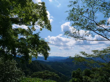 Scenic view of trees and mountains against sky