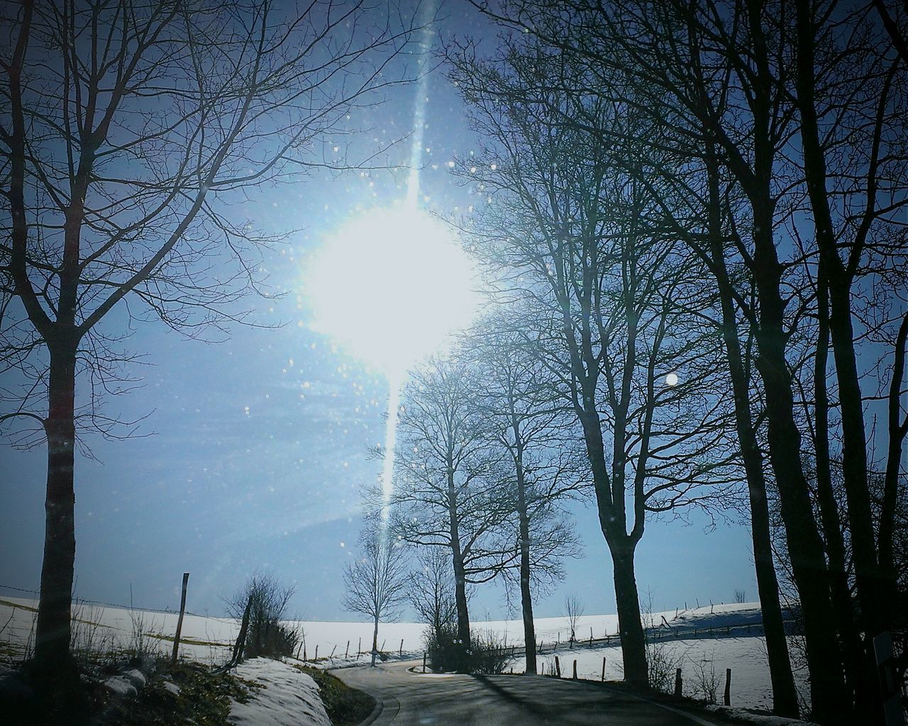 bare tree, tree, snow, winter, cold temperature, sun, tranquility, tranquil scene, branch, nature, beauty in nature, sunlight, scenics, sunbeam, lens flare, sky, season, silhouette, weather, landscape