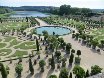 High angle view of trees by lake