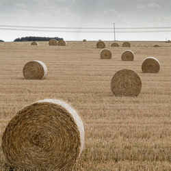 Hay bales on field against sky