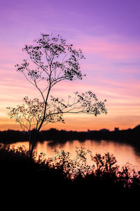 Silhouette tree by lake against sky during sunset