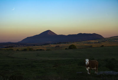 Scenic view of landscape against sky during sunset