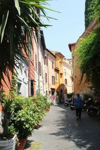 Narrow alley along buildings