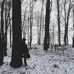 Bare trees on snow covered landscape