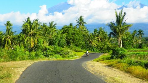 Road amidst trees against sky