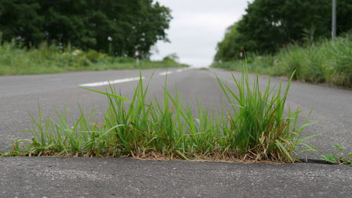 Surface level of footpath by road in city