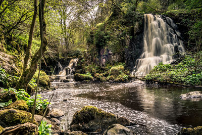 Scenic view of waterfall in forest