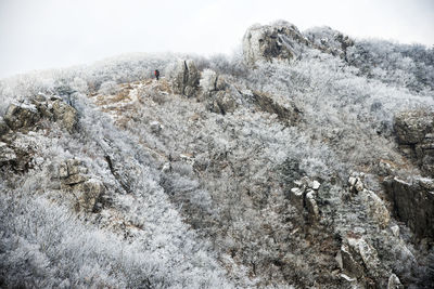 Scenic view of mountains