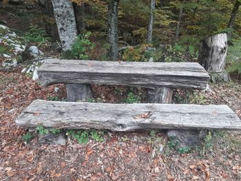 Bench in park