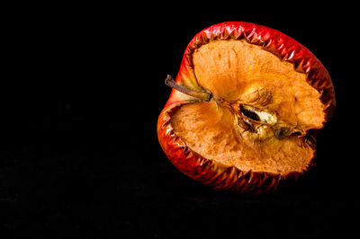 Close-up of orange slices over black background