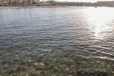 Scenic view of lake