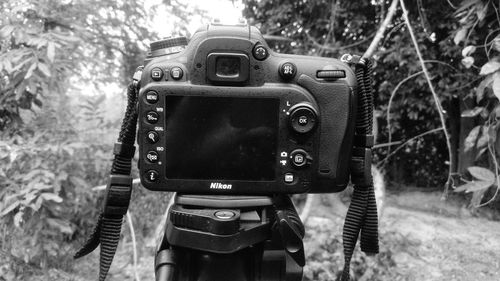 Close-up of camera on tree