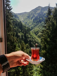 Midsection of person holding tea cup against mountains
