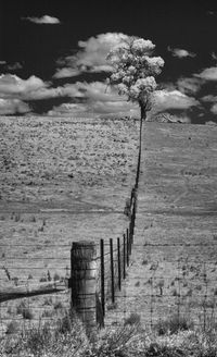 Wooden bench on landscape