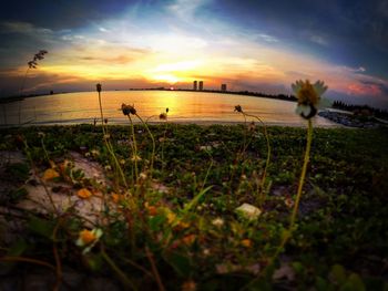 Scenic view of landscape against sky at sunset