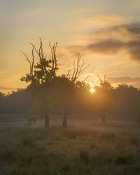 Scenic view of field against sky during sunset