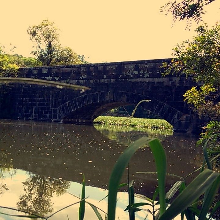 built structure, architecture, clear sky, tree, water, bridge - man made structure, connection, plant, growth, building exterior, river, reflection, green color, pond, nature, railing, outdoors, arch bridge, canal, park - man made space
