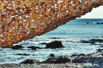 Close-up of rocks on beach