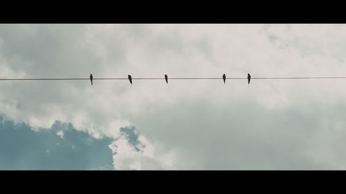 Low angle view of silhouette birds on cable against sky