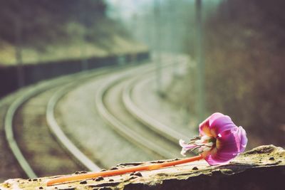 Close-up of railroad tracks