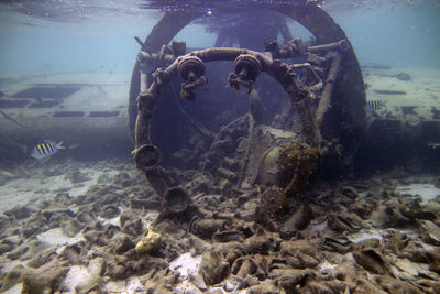 The wreck of a light aircraft in shallow water off the coast of south bimini, bahamas