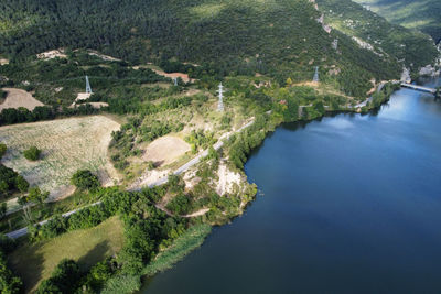 High angle view of river amidst trees