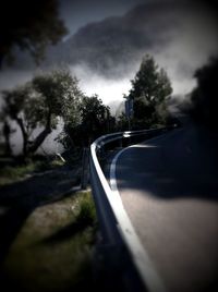 Road passing through trees