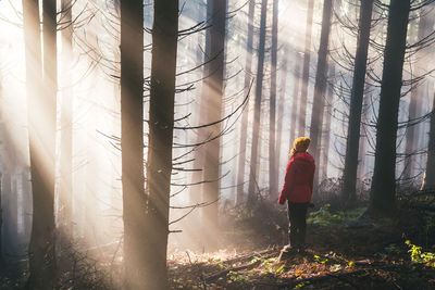 Rear view of man standing by trees in forest