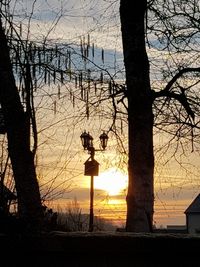 Silhouette bare trees against sky during sunset