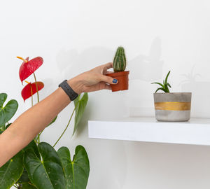 Midsection of person holding potted plant