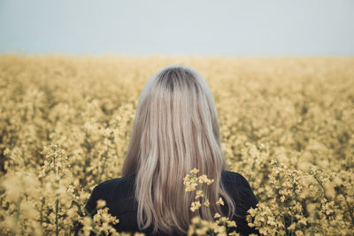 Rear view of woman in field