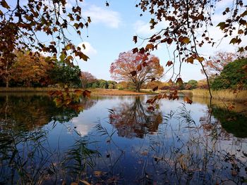 Reflection of trees in lake against sky