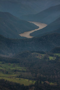 High angle view of agricultural field